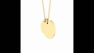 stainless steel pet pendant  necklace #lovejewelry #pet #necklace #cat #jewelry