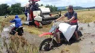 COMBINE DOSER PADI VS OJEK SAWAH