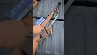 Polish Circle 11 M44 Mosin-Nagant Carbine #gunasmr #History #GuneoftheWorld