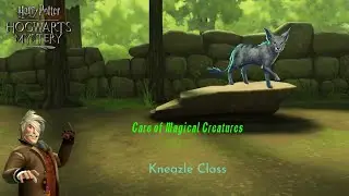 Care Of Magical Creatures|Kneazle Class|Harry Potter Hogwarts Mystery|