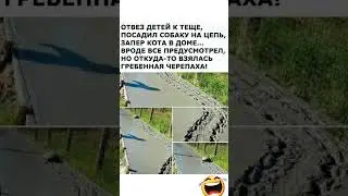 Вроде Все Предусмотрел😅#юмор#мем#прикол#смех#жиза#анекдоты#шутки#смешнойшортс#комик#memes#угар#ржака