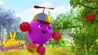 Apple Picker | SUNNY BUNNIES | Cartoons for Kids | WildBrain Bananas