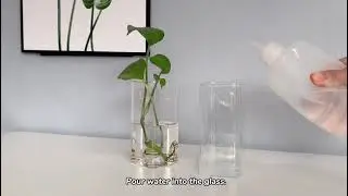 Ivolador Wall Hanging Glass Propagation Plant Terrarium