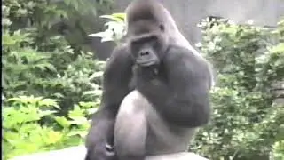 May 17, 1992 Fort Worth Zoo Visit