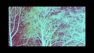 Vertical Space - Dark Circles (Official Music Video)