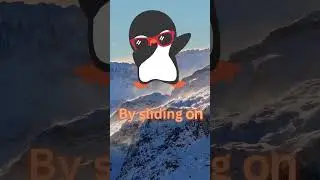 Penguin Giggles for Little Wiggles 🐧😆 18