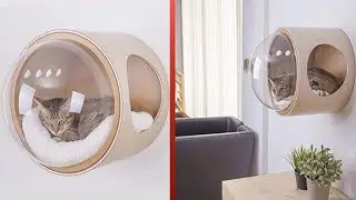 Amazing Pet Toys, Gadgets and Inventions That Are On Another Level