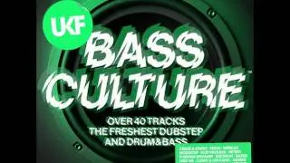 Brand New UKF Dubstep Remix 2012