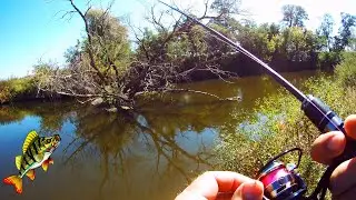 Walking Along the Shore with a Fishing Rod &ndash; Relaxing Fishing & Nature Vibes