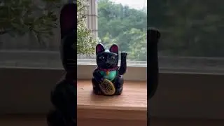 Lucky black cat gadget.#cat #gadgets