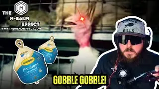 Butterball Turkey Scandal: The Dark Side of Your Thanksgiving Dinner