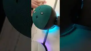 Echo Dot Kids с захватывающей раскраской в ​​виде птиц в магазине Local Target в Калифорнии (08.0...