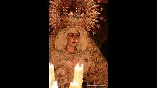 Marcha 📯🥁 ( Cómo tú Ninguna ) #esperanzamacarena #semanasanta #tdscofrade