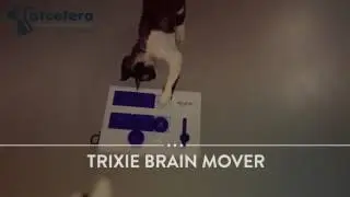 Trixie Brain Mover