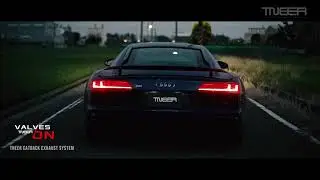 AUDI R8 Performance with TNEER Catback Exhaust System🔥🔥🔥