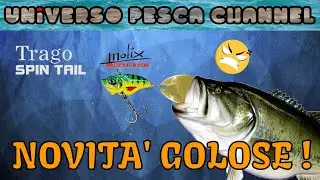 MOLIX Trago Spin Tail! Novit&agrave; SUPER attesa 2020! Catture a non finire!!