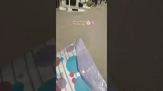Winterful Monday in uni | #music #study #february #shortsvideo #contentcreator #karachi #winter