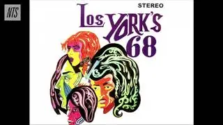 Fuzzy Peruvian Psych and Surf Rock Mix【 THE NTS GUIDE TO&hellip; 】