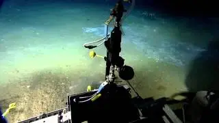 E/V Nautilus Video Bite: Push Core Sampling - Gulf of Mexico AUV Sentry Support 2013