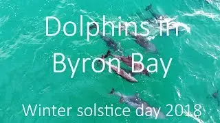 Dolphins in Byron Bay - Winter solstice day 2018
