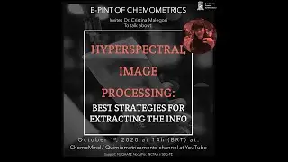Hyperspectral Image Processing: Best Strategies for Extracting the Info