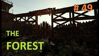 The Forest # 49