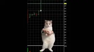 SERA 50% за 12 минут. Обучение трейдингу с 0 (и неквалы) в комментах