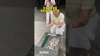 automatic Fish killing machine