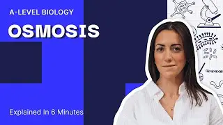 Осмос за 6 минут | Биология уровня A