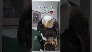 Eagle Makes MIRACULOUS Recovery and Finds Amazing Surprise!