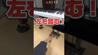 左ペダル踏むとどうなるの？👍🌈#ピアノ初心者 #ペダル #春1番