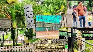 Exploring Mysore Zoo/Mysore Zoo Park 2025/Sri Chamarajendra Zoological Gardens/Mysore Tourism/Part 1