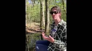 Ever wonder about dark waters?