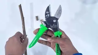 Shakti-02 Anvil Pruner | Cut 2X Easier! Powerful Garden Tool Review 🌿✂️