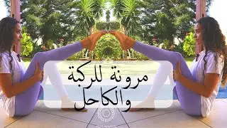 تمارين مرونة واحماء للركبة والكاحل-مرونة للمبتدئين | Knee & Ankle Mobility