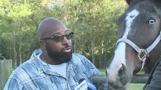 Slidell Stable Fire Kills 9 Horses, Owners Mourn