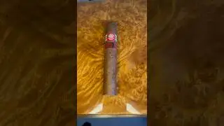 H. Upmann LCDH Royal Robusto #cigars #cuba #viral #shortsvideo #habanos #shortsfeed #youtubeshorts
