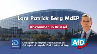 Lars Patrick Berg - Formulare, Formulare! Ankommen in Br&uuml;ssel