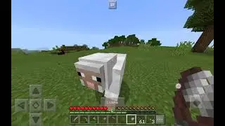 SVID 20210301 190142 1