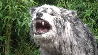 Dire Wolf | Moving Animatronic | Prehistoric Animal🐺#wolf