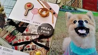 Project Life Layout Scraptastic TLN Kit October 2015 #2