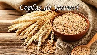 COPLAS DE YARAVÍ - (letras)