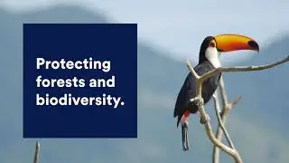 Xpansiv - WTTC's Carbon Offset Partner