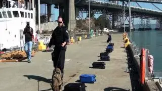 K-9 explosive training