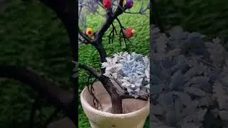 clay tree with birds 🐦🌳🌴 #diy #clay #youtube #shorts #viralvideo #creative #athestic #handmade