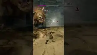 Dragons Dogma PS4