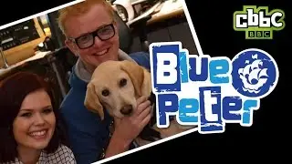 Blue Peter Puppy on Chris Evans BBC Radio 2 Show