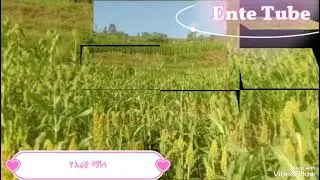 እራያየ ❤#ሳዉድ #ዱባይ#መዝሙረ