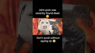 John Pork recently found dead 😔 #johnpork #rip #fyp