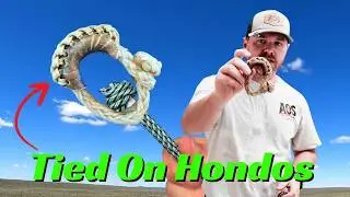 What's the Best Tied On Honda?